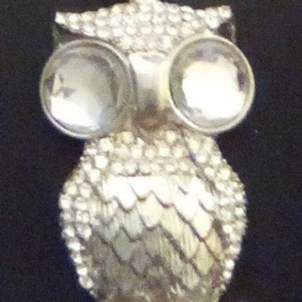 Silver Tone Rhinestone Owl Pendant Necklace Crystal Eyes Textured Statement Bird